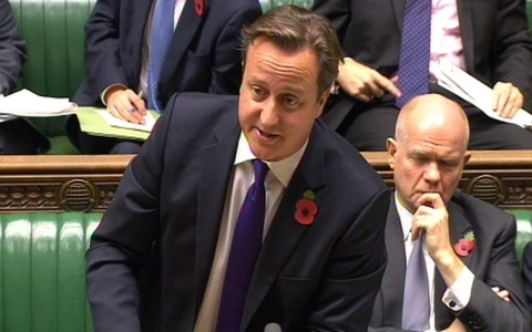 United Kingdom's prime minister, David Cameron, wore a poppy flower on his jacket in remembrance of WWI.