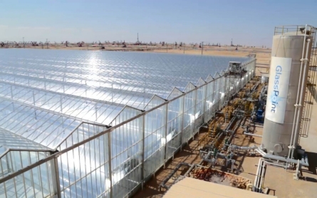 California company finds way to get solar oil