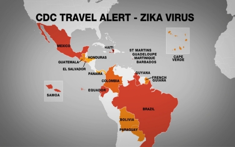 Thumbnail image for A World Health Organization warning about Zika virus