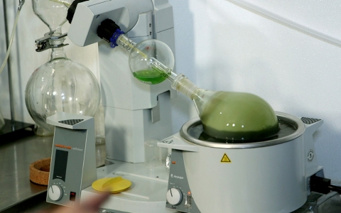 After soaking marijuana with high levels of CBD in food-grade alcohol, the solution is heated in a rotary evaporator to extract a concentrate.