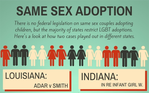 Thumbnail image for Same-sex adoptions: Two case studies