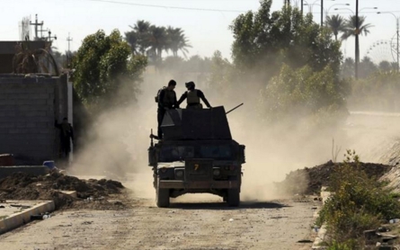 ISIL suicide bomber kills Iraqi troops near Ramadi